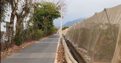 新埤鄉雙面路農地視意圖